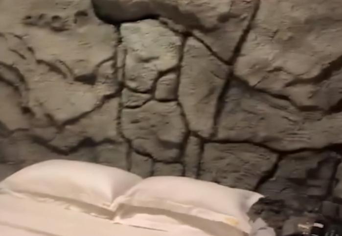 天津男子隔离被安排到花果山主题酒店，网友：就差个裘皮裙了！休闲区蓝鸢梦想 - Www.slyday.coM