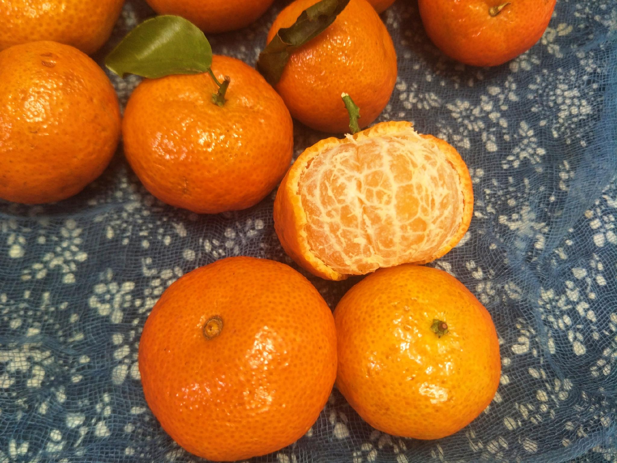 买砂糖桔时,选皮厚的还是薄的?教你3招,选出的桔子又甜又多汁