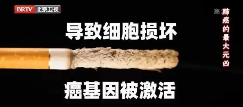 人到中年,为什么有的人容易生病,有的人却一直很健康?休闲区蓝鸢梦想 - Www.slyday.coM 人到中年,为什么有的人容易生病,有的人却一直很健康?休闲区蓝鸢梦想 - Www.slyday.coM