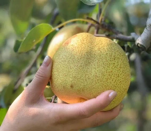 晚上11点后睡觉的人，要警惕这1件事，尤其是秋天！休闲区蓝鸢梦想 - Www.slyday.coM