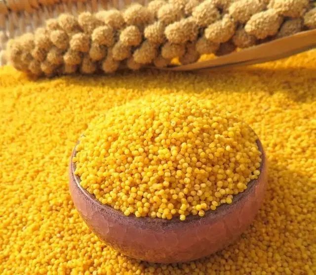 脾胃最喜欢的4种食物：秋天容易气血虚的人，照着吃就对了！休闲区蓝鸢梦想 - Www.slyday.coM