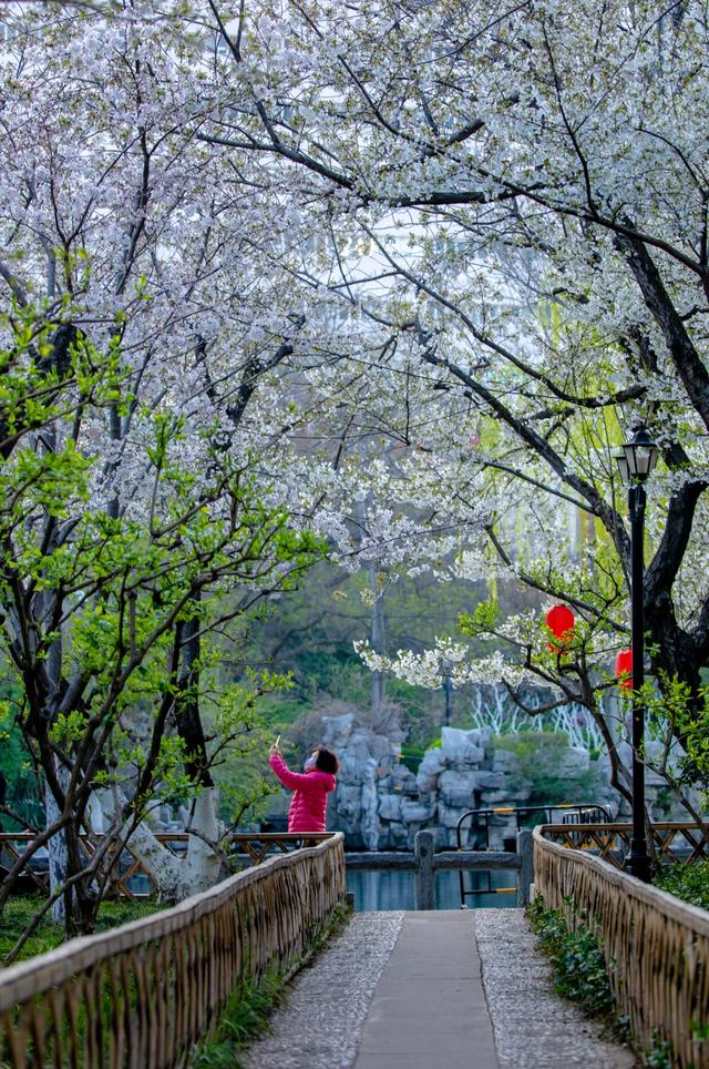 权威公布2022全年放假安排！不出济南的“全球”打卡攻略带你“一秒出国”，刷爆朋友圈！休闲区蓝鸢梦想 - Www.slyday.coM