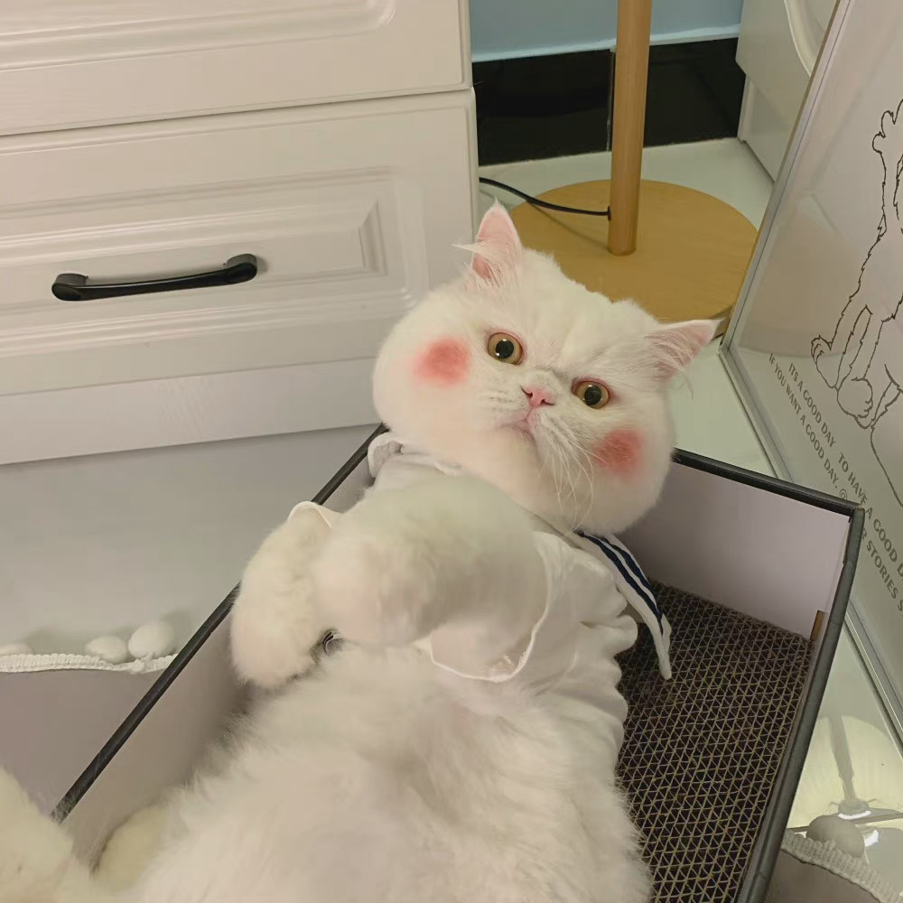 今天是涂着腮红的小可爱_高清图集_新浪网