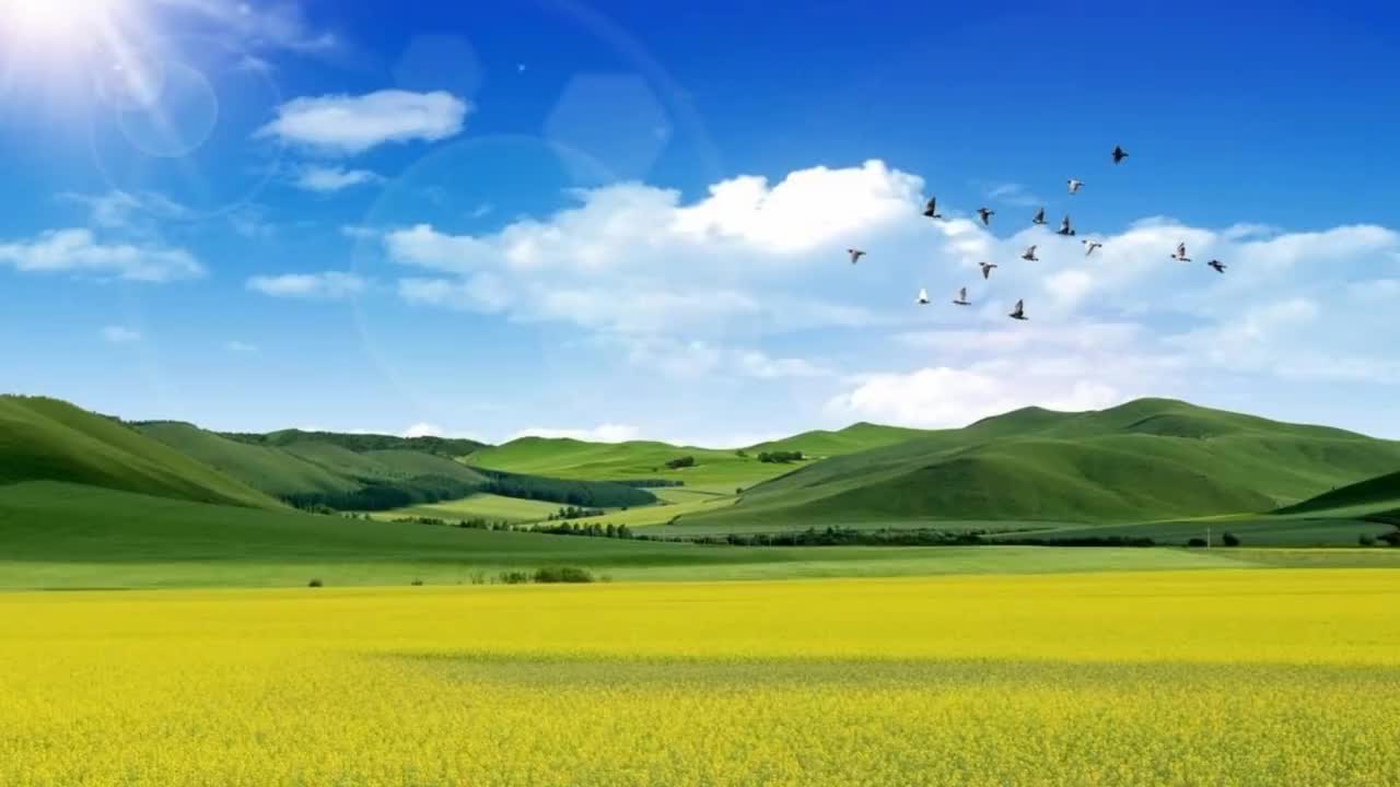 伤感情歌广场舞离别的车站舞步抒情缓慢醉人好看附分解