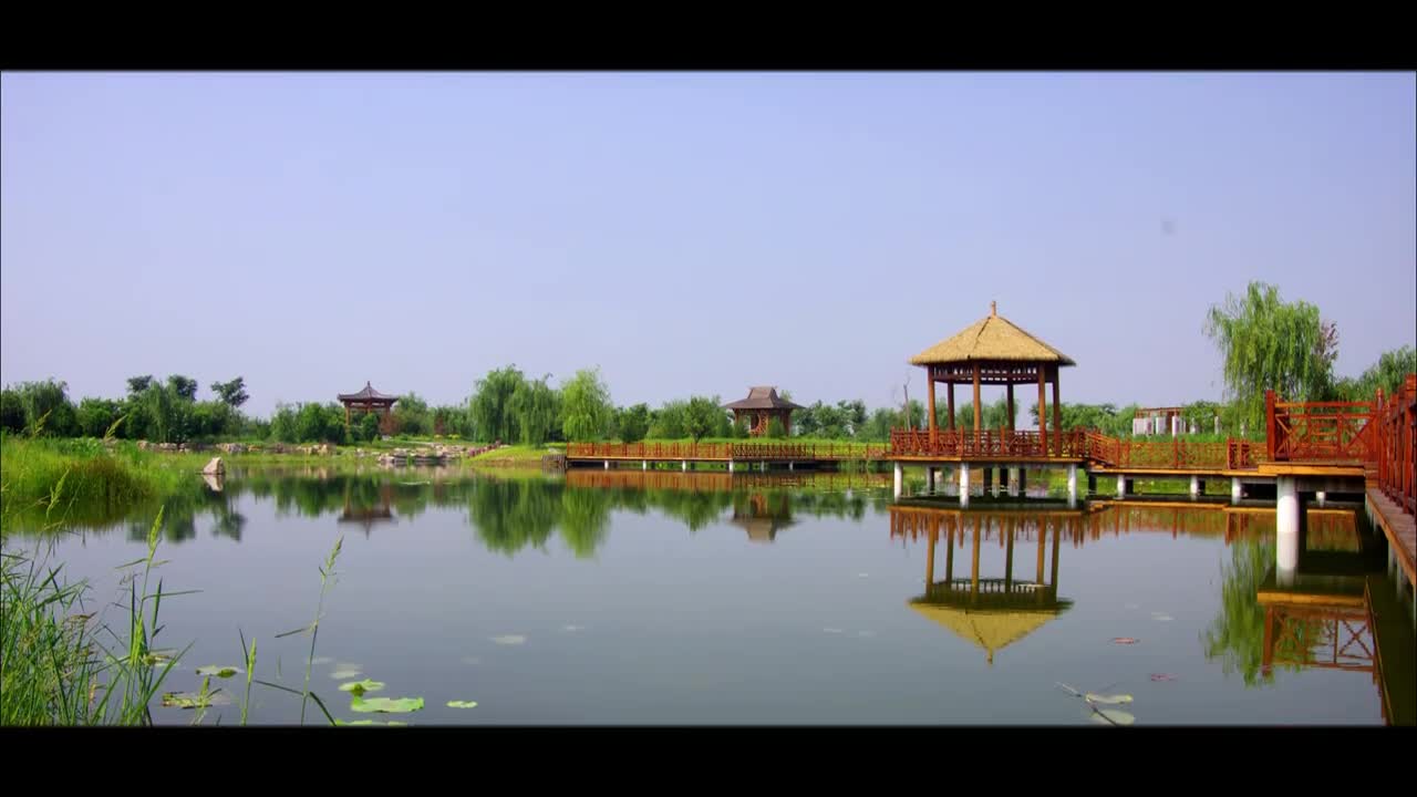 东营市首届最美湿地之孙武湖省级湿地公园__财经头条