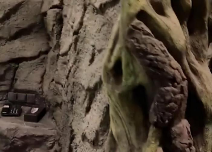 天津男子隔离被安排到花果山主题酒店，网友：就差个裘皮裙了！休闲区蓝鸢梦想 - Www.slyday.coM