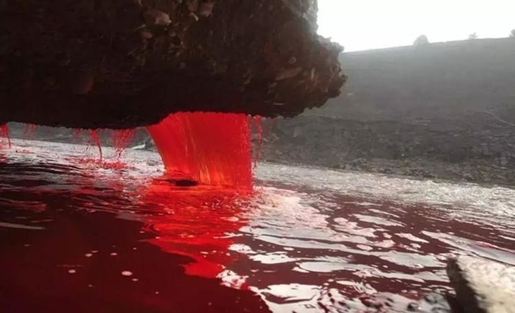 南极血瀑布图片