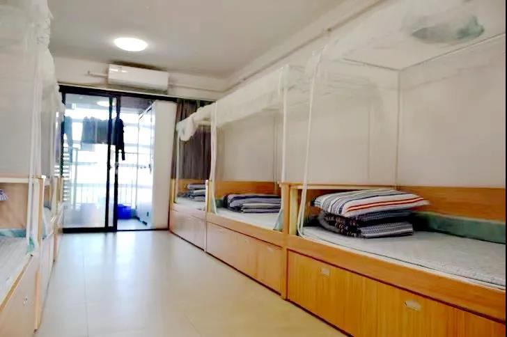 中科附高校园开放日线上线下同步举行