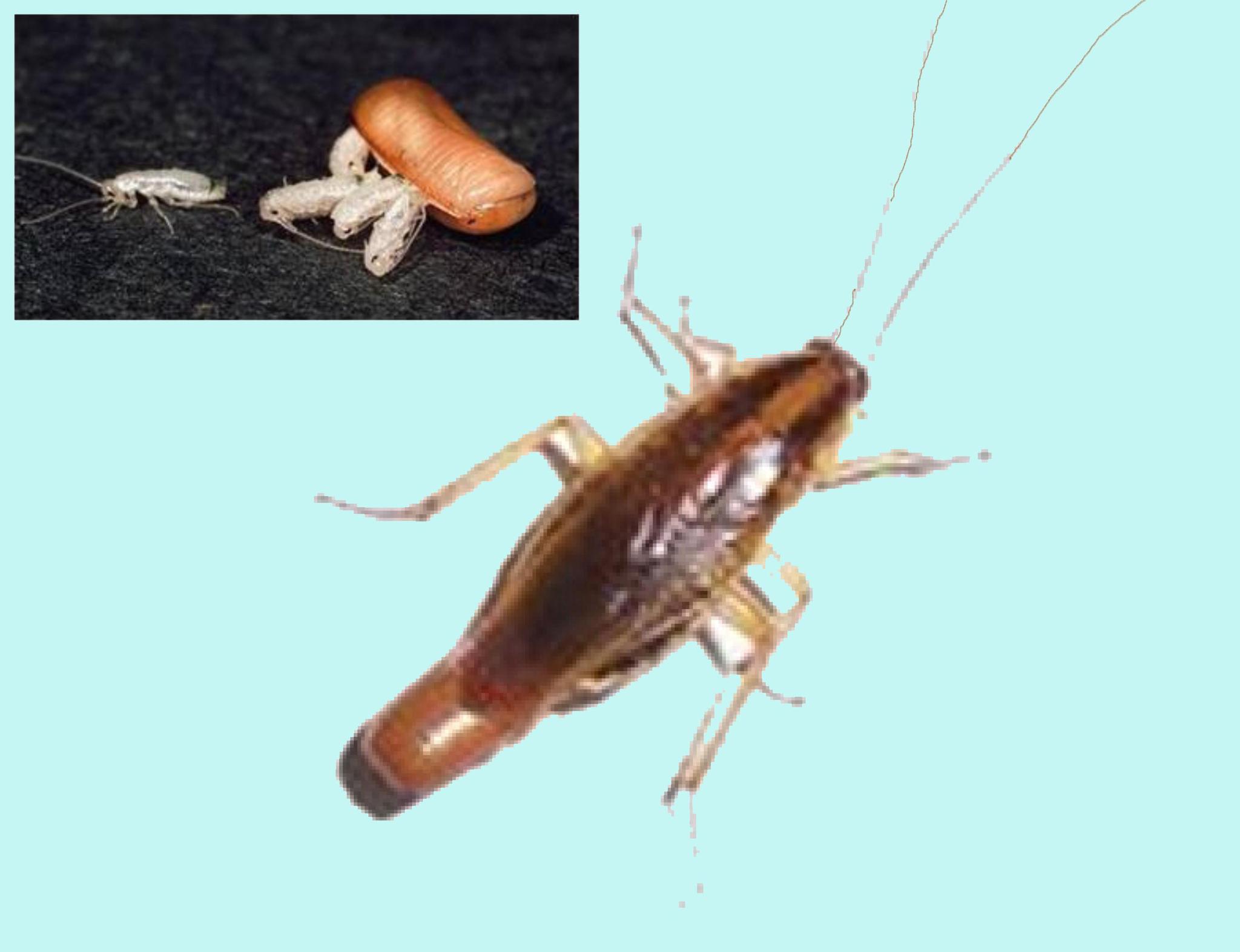 什么是基准线,简单说法有哪些呢图片视频 - 实验室设备网