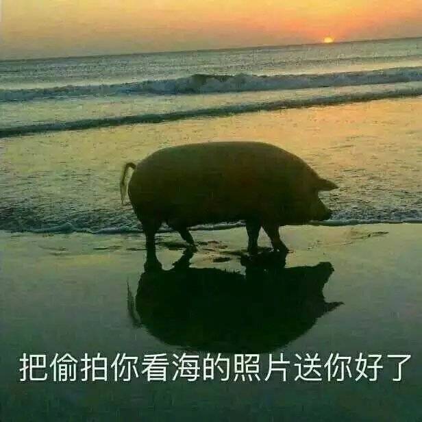 表情包 | 关上门你就是我的人了