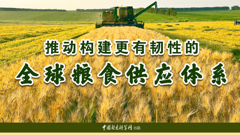 推动构建更有韧性的全球粮食供应体系|粮食|粮食安全|西非_新浪新闻