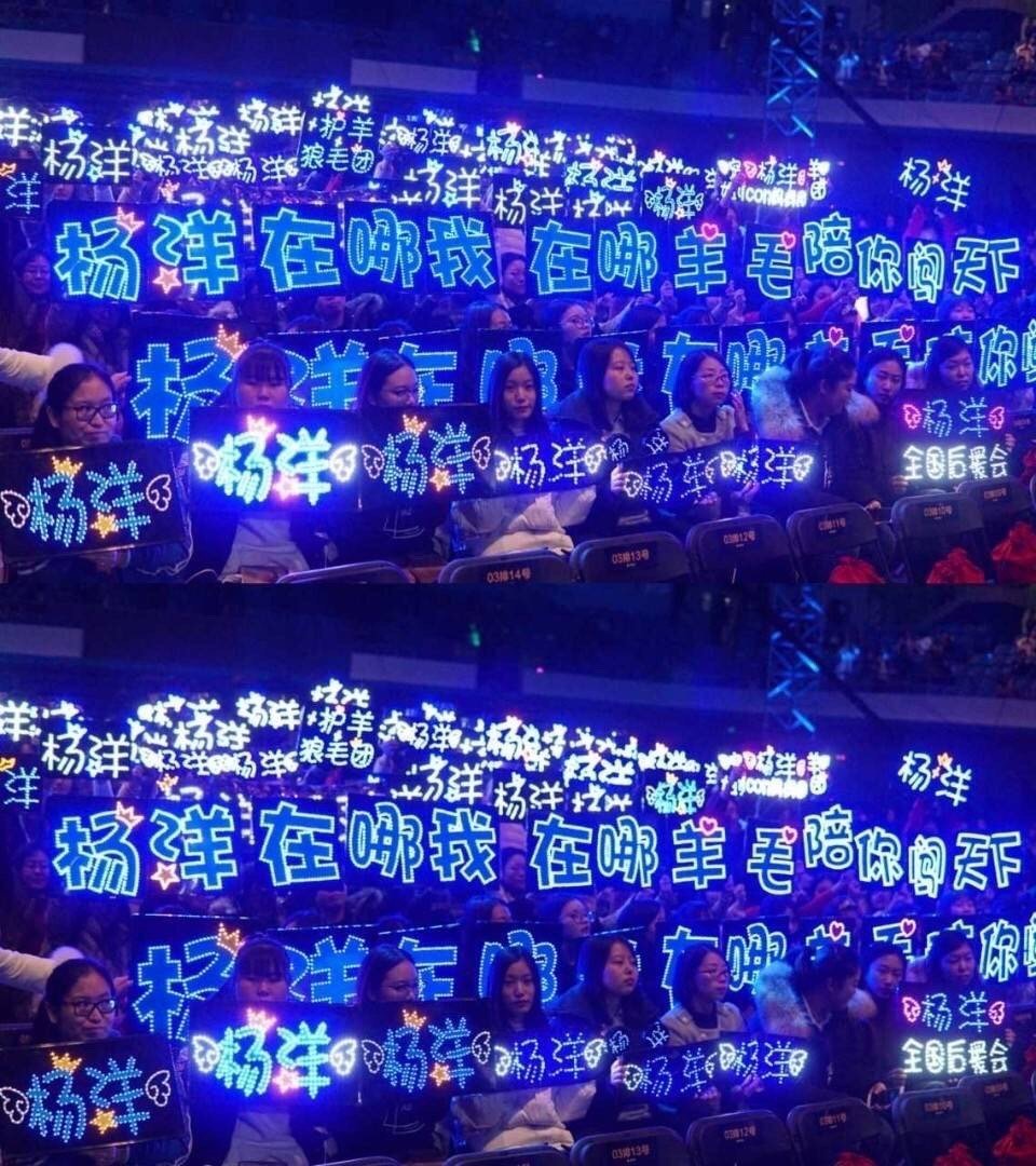 哇～杨洋 粉丝应援太用心了吧