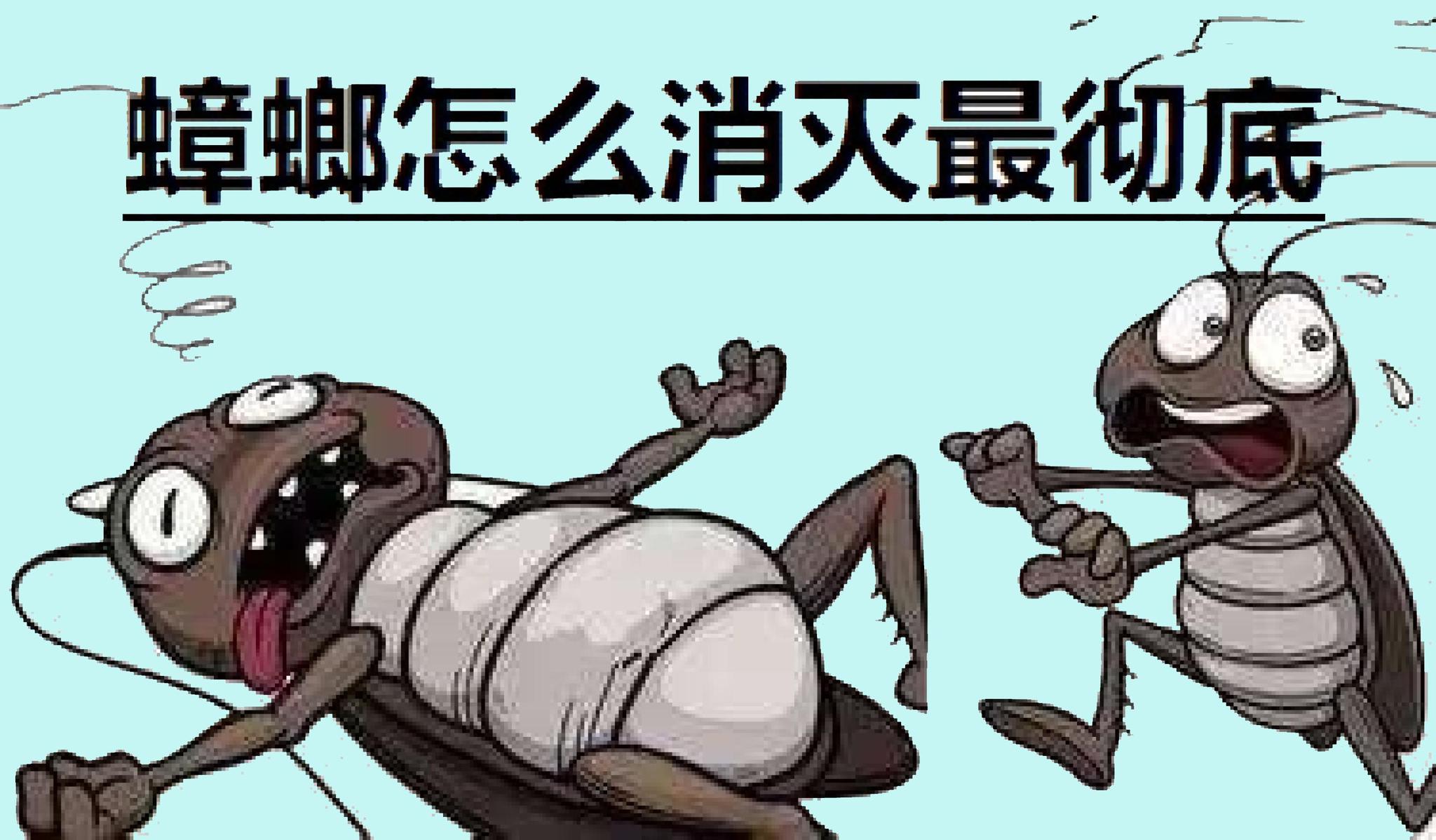 有人说见了蟑螂不能踩死,否则后果很严重,这种说法靠谱吗?