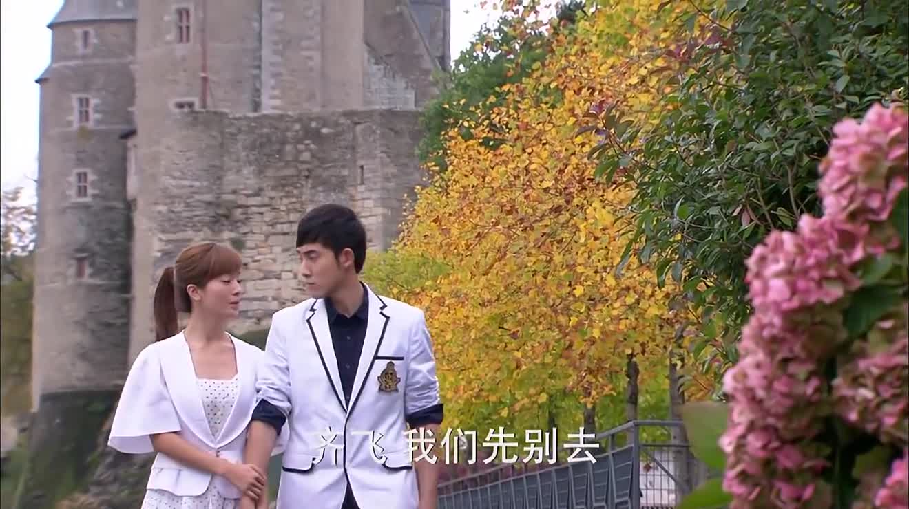 花非花雾非雾叶凡来到安琪的墓地称想凭吊她的一切