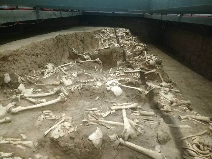 山西晋城高平长平之战遗址出土的人骨,之前拍过一次_高清图集_新浪网