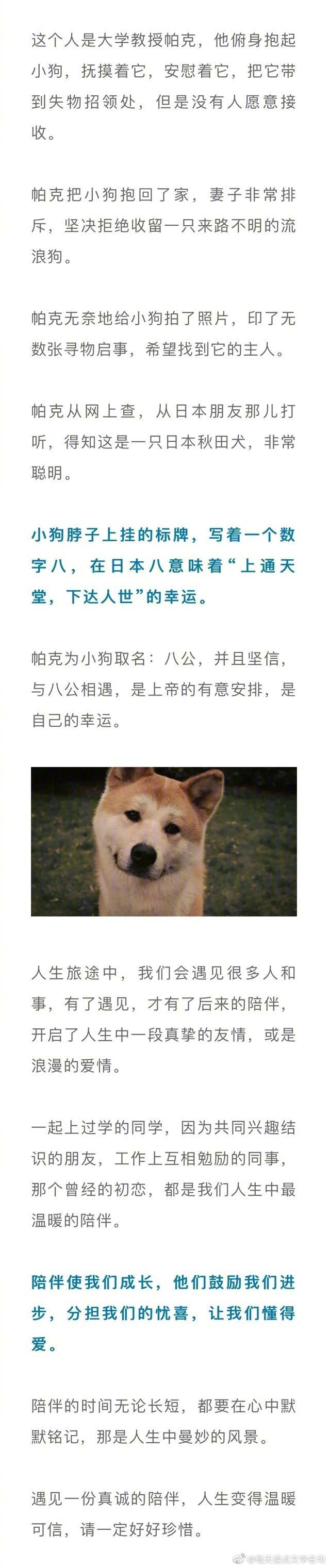 忠犬八公 所有的遇见 都是为了陪伴 陪伴 是最长情的告白