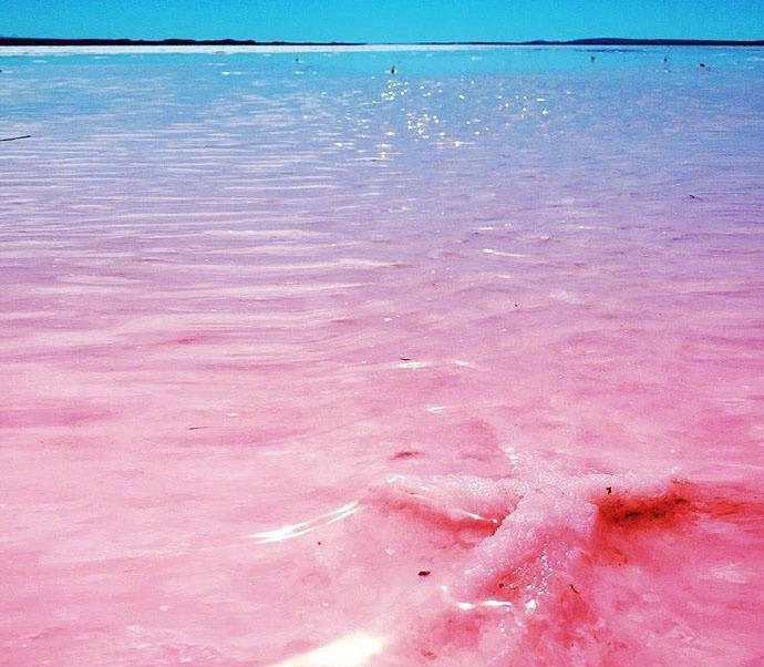 南澳的粉色盐湖如果前几天连续下雨的话