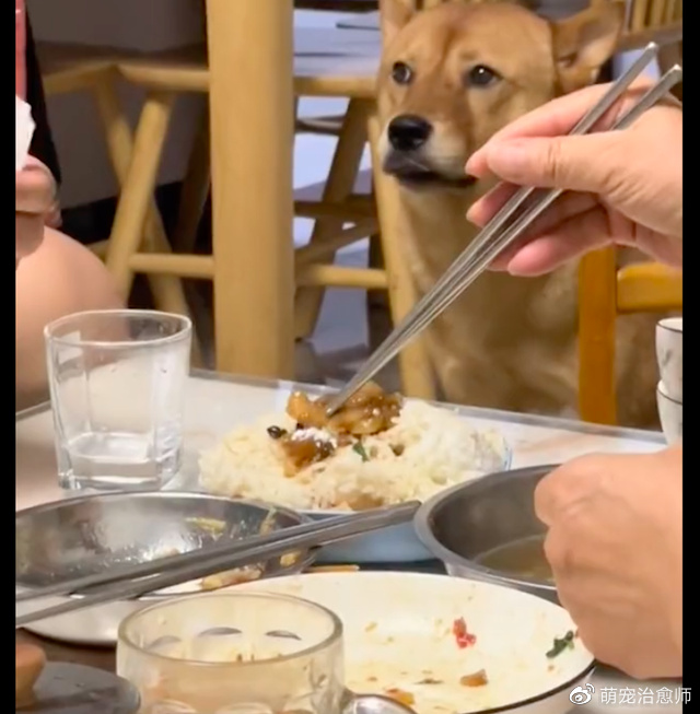 弟弟当着狗的面“下药”,它欲言又止假装没看见:不能骗我一下吗休闲区蓝鸢梦想 - Www.slyday.coM 弟弟当着狗的面“下药”,它欲言又止假装没看见:不能骗我一下吗休闲区蓝鸢梦想 - Www.slyday.coM