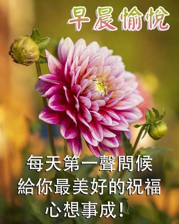 4,1携带一束鲜花来到您的身旁,花儿浓缩了我对您的祝福,绿叶饱含着对