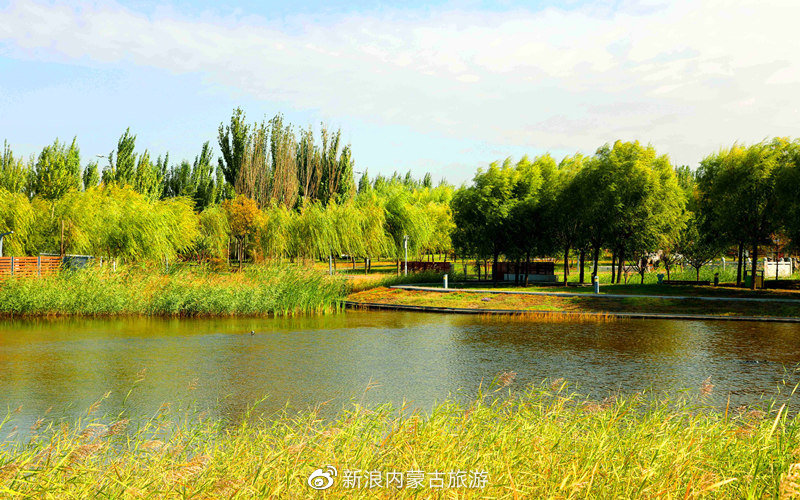 包头东河的夏天