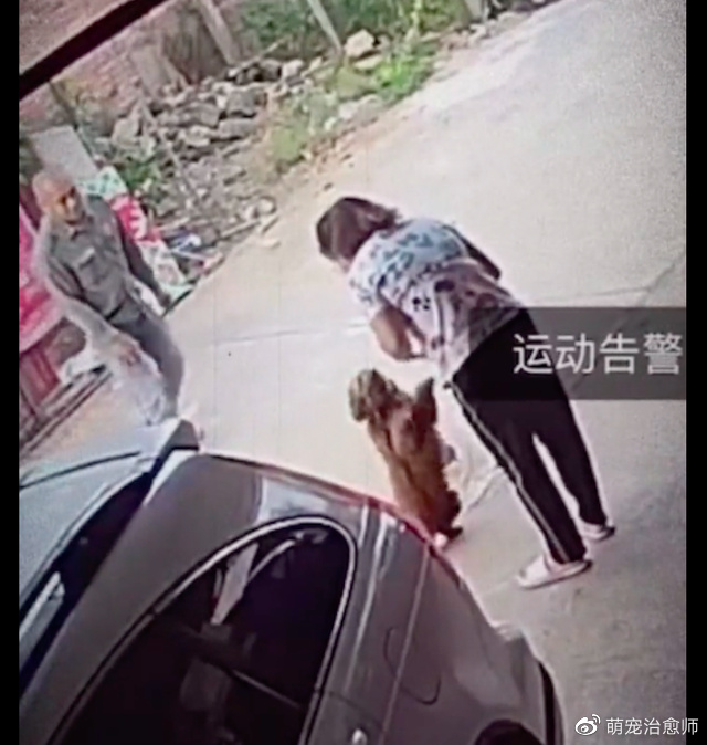 2年前走丢的狗狗，竟然自己找回家来！趴在主人身上撒娇好久！休闲区蓝鸢梦想 - Www.slyday.coM