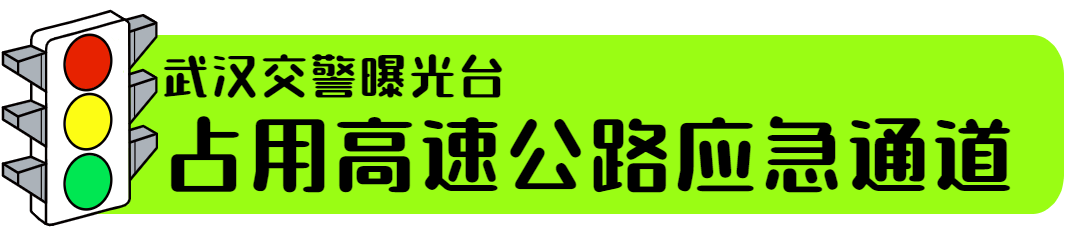 放假了就“撒欢”？@鄂A55H95、鄂A1306Q，你们都被拍了！休闲区蓝鸢梦想 - Www.slyday.coM