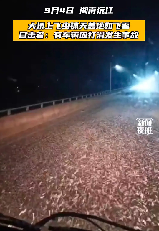 铺天盖地!湖南沅江出现大量飞虫,是蜉蝣吗?出现预示着什么?休闲区蓝鸢梦想 - Www.slyday.coM 铺天盖地!湖南沅江出现大量飞虫,是蜉蝣吗?出现预示着什么?休闲区蓝鸢梦想 - Www.slyday.coM