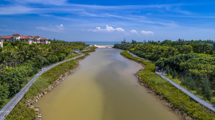 走进五源河湿地,看"中国最美小鸟"缘何在此安家?