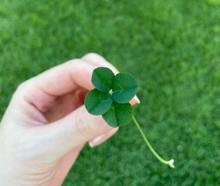 孙艺珍怀上双胞胎配四叶草和彩虹图祝你度过好运的日子