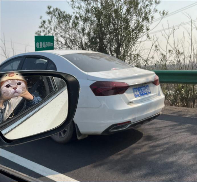 放假了就“撒欢”？@鄂A55H95、鄂A1306Q，你们都被拍了！休闲区蓝鸢梦想 - Www.slyday.coM