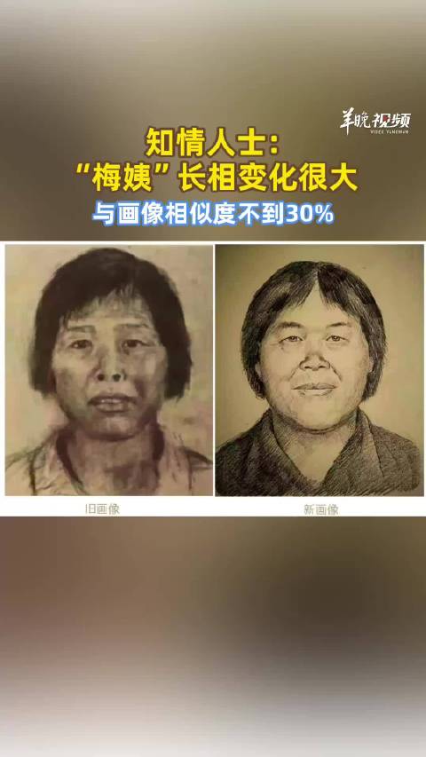 “梅姨”落网知情人发声：长相变化很大，与模拟画像相似度不到30%