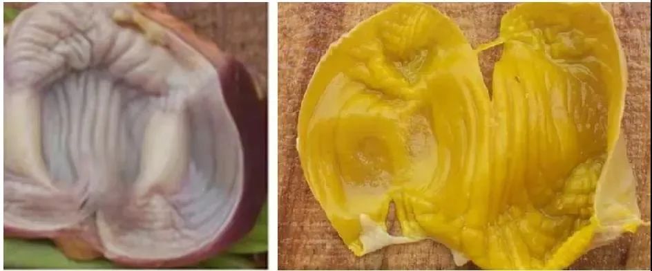 入冬15天,补养最关键!做3事,借天补阳,健脾胃,养气血休闲区蓝鸢梦想 - Www.slyday.coM 入冬15天,补养最关键!做3事,借天补阳,健脾胃,养气血休闲区蓝鸢梦想 - Www.slyday.coM