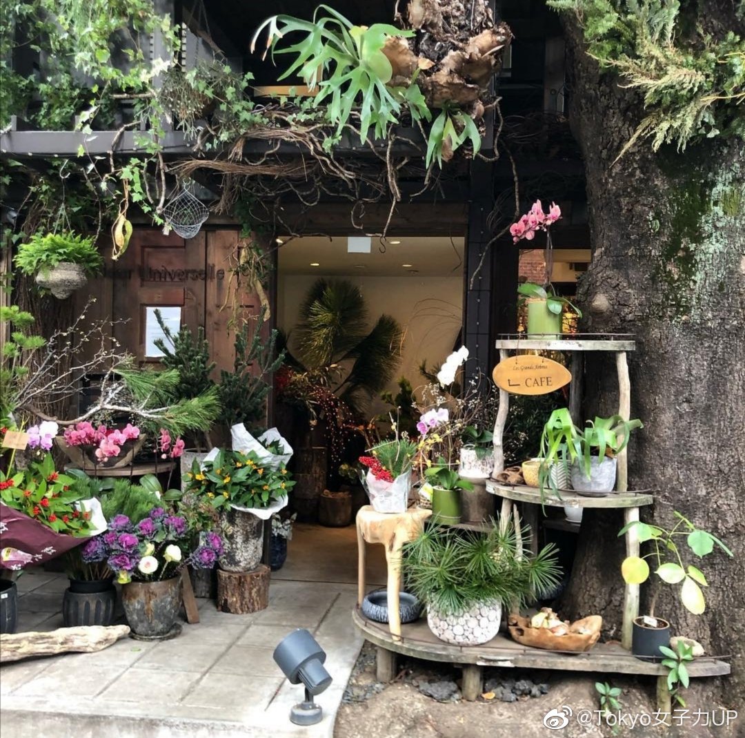 同款童话树屋下午茶就在东京都内 同款童话树屋下午茶就在东京都内