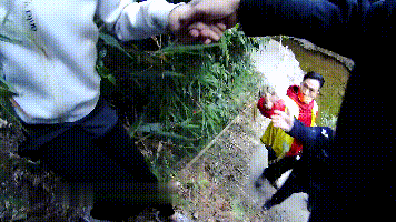 4人在佛山南海西岸爬山迷路，警方在断崖边发现他们……休闲区蓝鸢梦想 - Www.slyday.coM