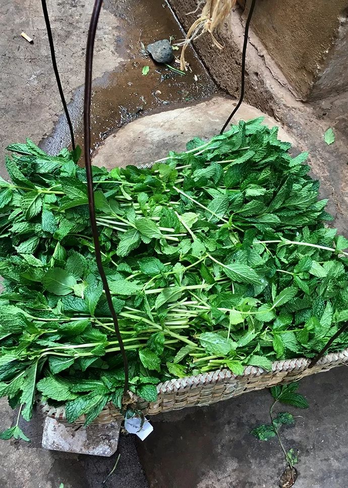 烧豆腐,糯米揣莲藕,曲江烤鸭,燕窝,燕窝稀饭,燕窝酥,狮子糕,羊奶菜