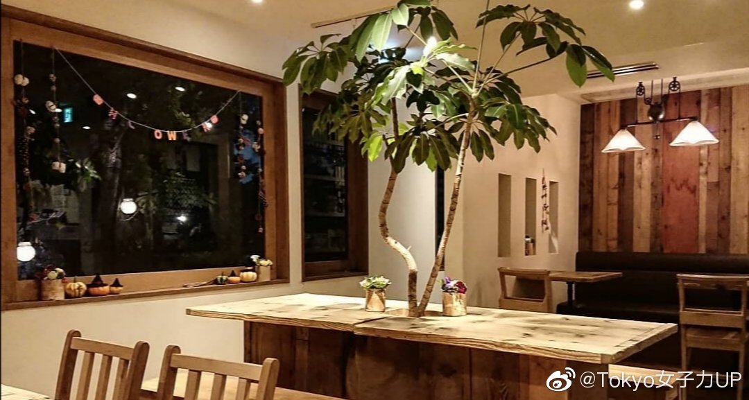 同款童话树屋下午茶就在东京都内 同款童话树屋下午茶就在东京都内