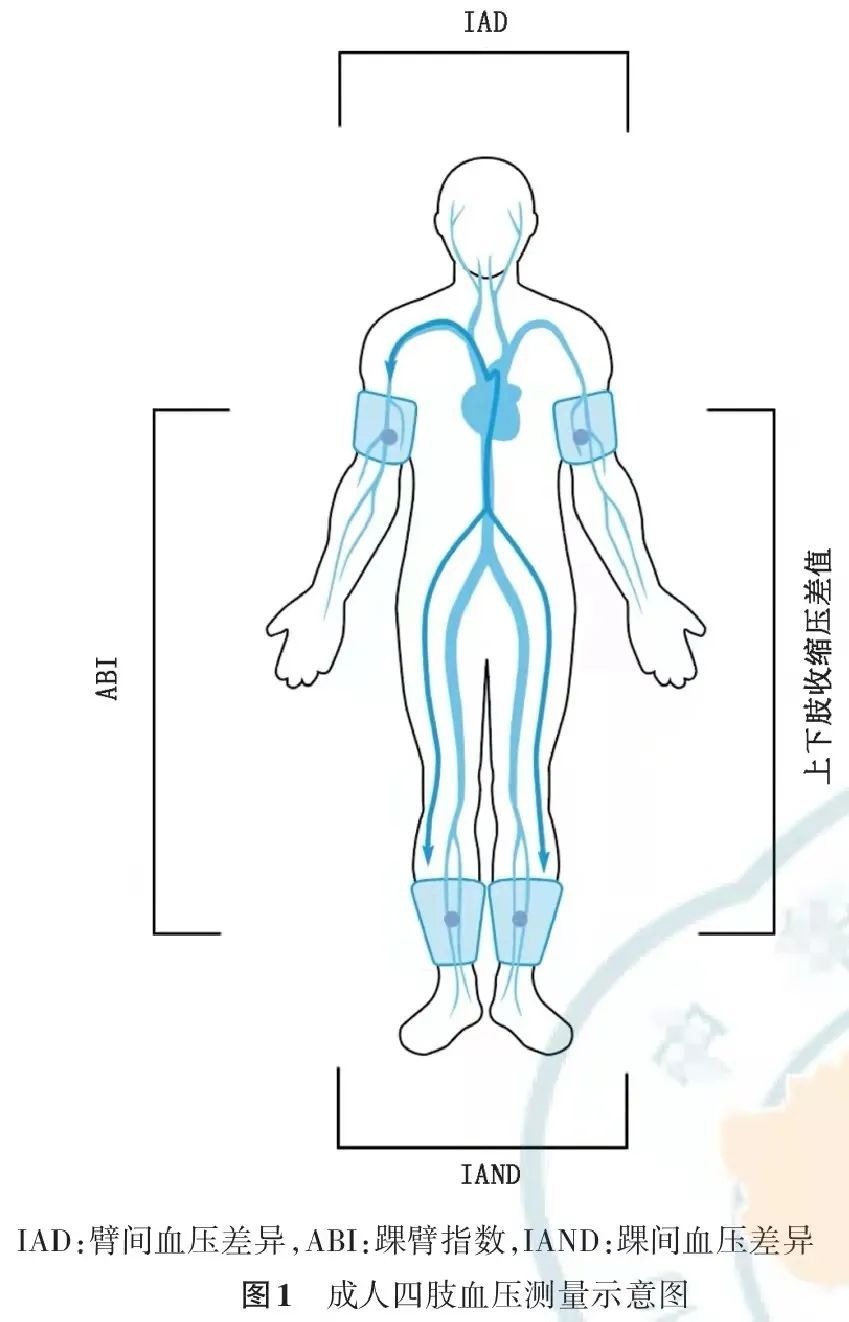 成人四肢血压测量的中国专家共识