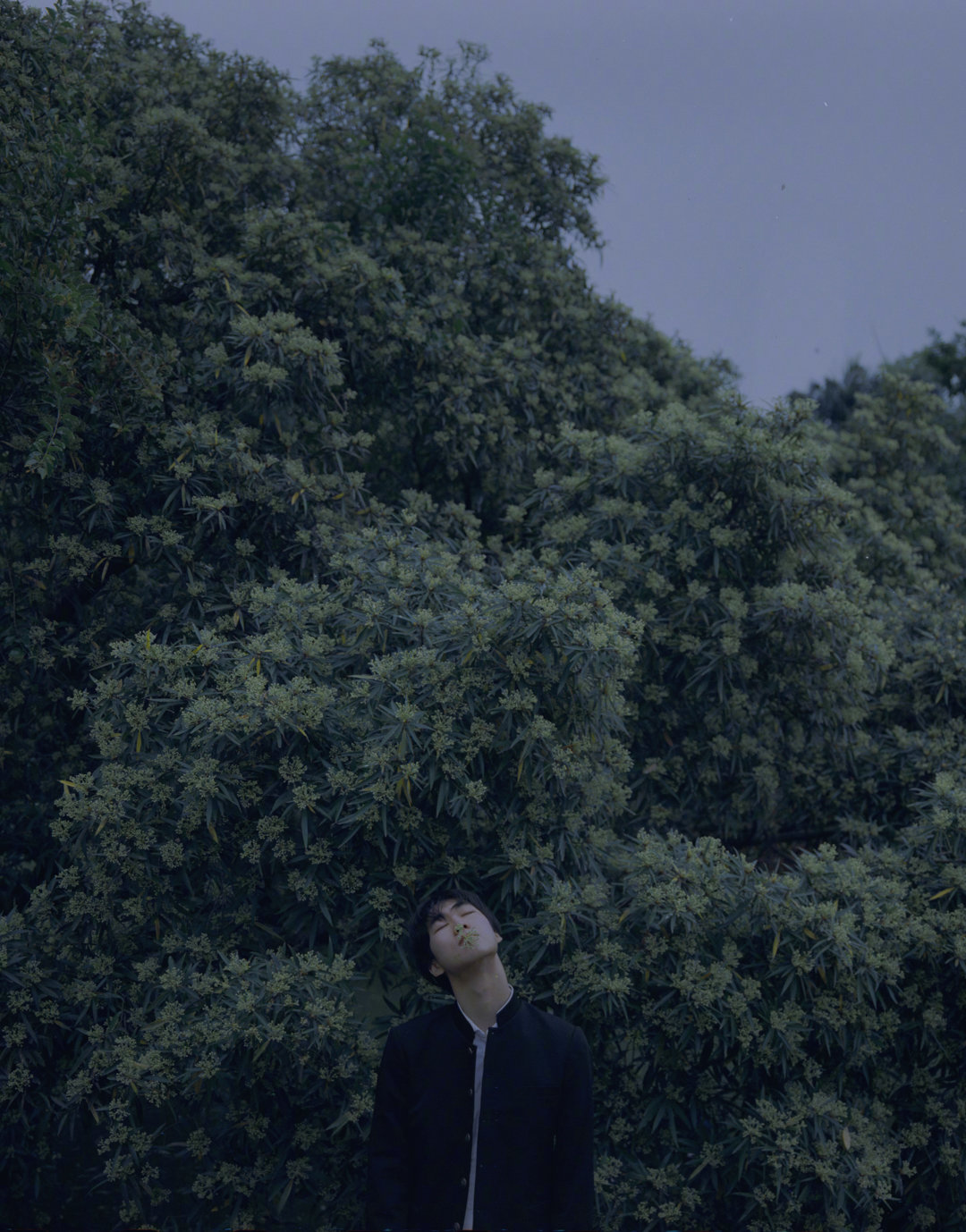 "少年充满希望的清瘦"photo by @无限tx 图虫id / 无限tx_高清图集