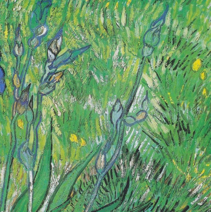 梵高笔下的绿