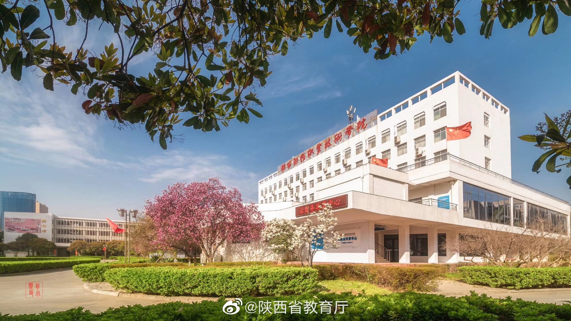 陕财职院:花开正艳 静待师生归来