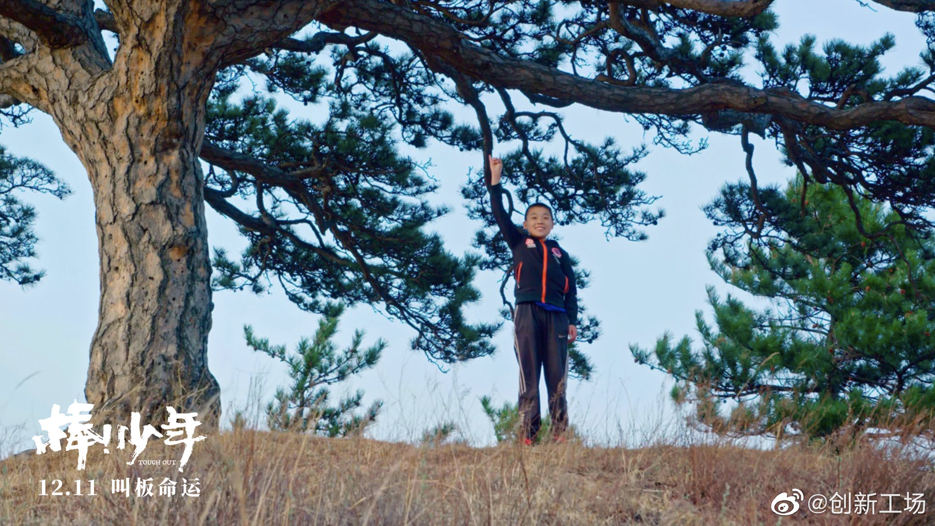 恭喜想象传媒强棒联合出品棒少年新片上映预祝票房大捷