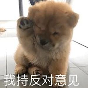 表情包 | 我持反对意见_新浪新闻