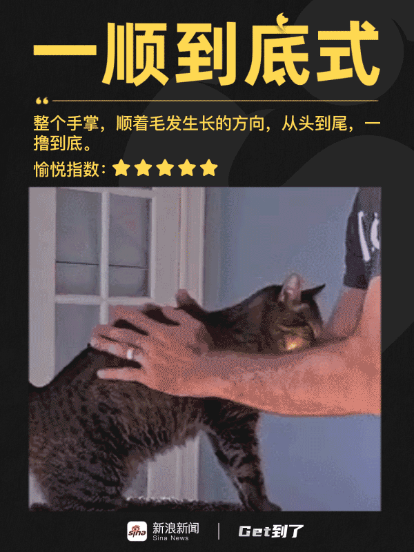 一时撸猫一时爽，一直撸猫就一直爽！__财经头条