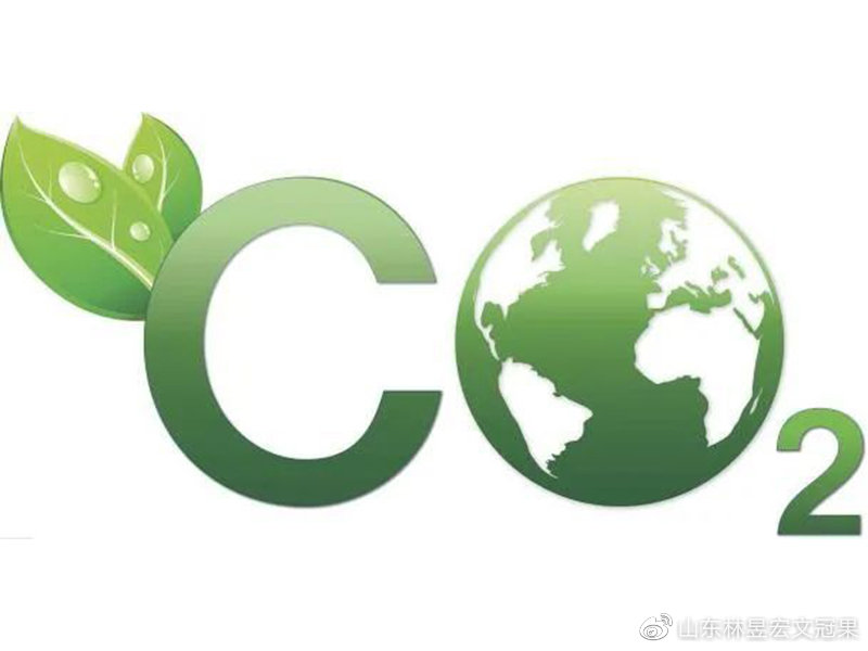 文冠果——“双碳”战略好树种