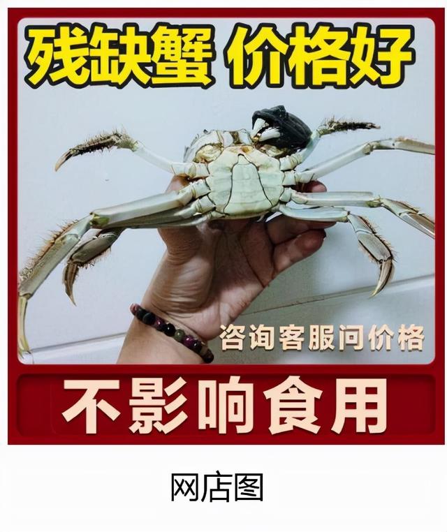 今年阳澄湖大闸蟹或将错过中秋节休闲区蓝鸢梦想 - Www.slyday.coM