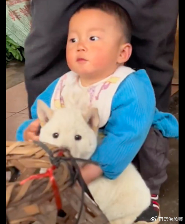 男孩在狗市抱住一只狗,奶奶怎么劝都不松手,两个清澈灵魂的相遇__财经头条