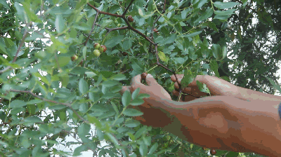 春天把这3种肝毒排干净，整个人都变了，脾气好、睡眠好、气色好！休闲区蓝鸢梦想 - Www.slyday.coM