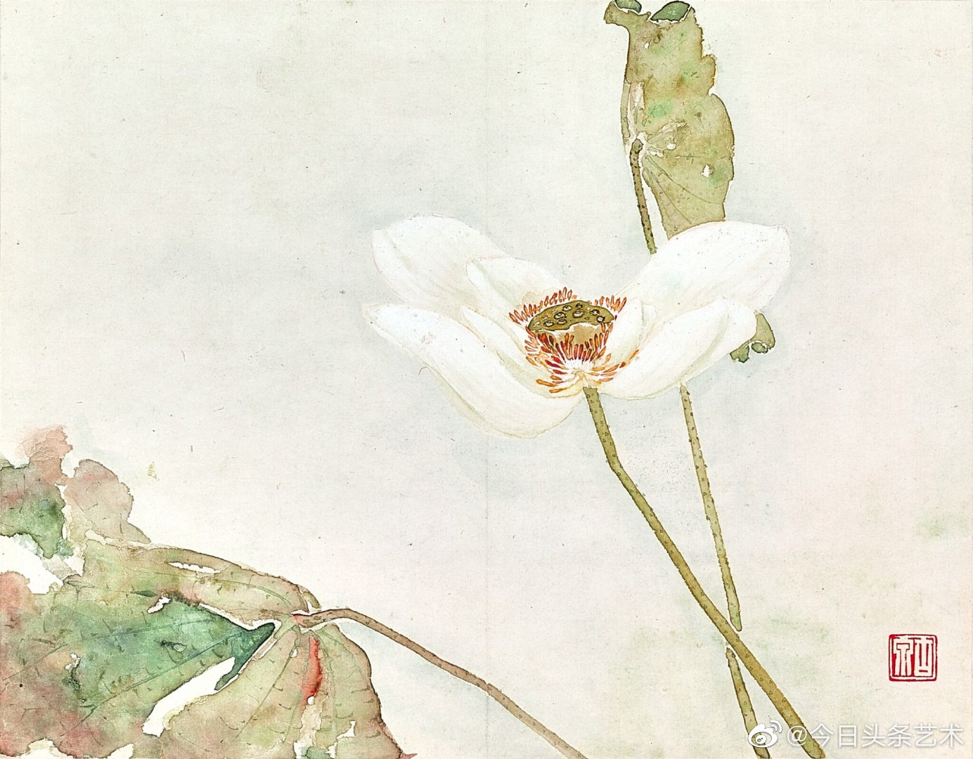 画家居廉花鸟画《清逸出尘册》_高清图集_新浪网