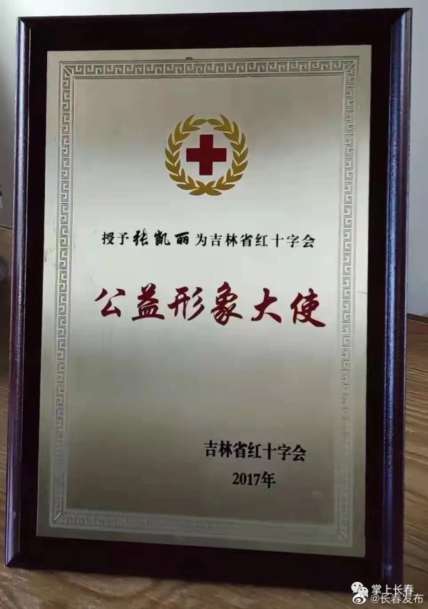 支援抗疫,张凯丽、李玉刚向家乡吉林捐款休闲区蓝鸢梦想 - Www.slyday.coM 支援抗疫,张凯丽、李玉刚向家乡吉林捐款休闲区蓝鸢梦想 - Www.slyday.coM