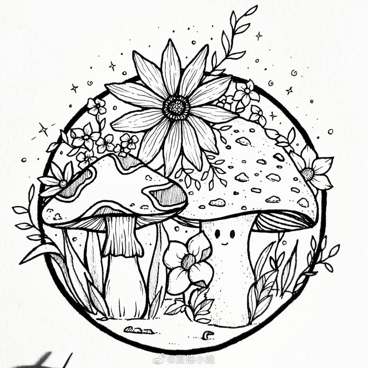 简单好看的黑白线描画 :sicis_art